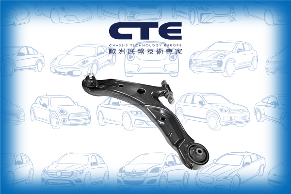 Control Arm/HYUNDAI/SANTA FÉ I (SM)