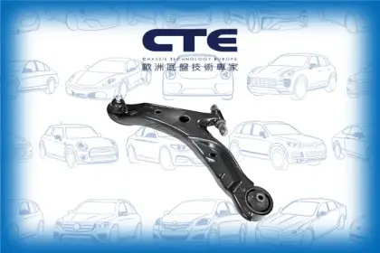 Control Arm/HYUNDAI/SANTA FÉ I (SM)