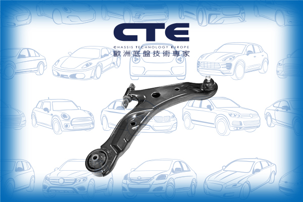 Control Arm/HYUNDAI/SANTA FÉ I (SM)