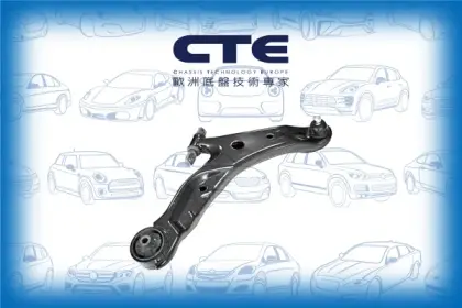 Control Arm/HYUNDAI/SANTA FÉ I (SM)