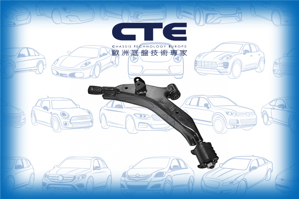 Control Arm/HYUNDAI/ATOS (MX) | AMICA / ATOZ