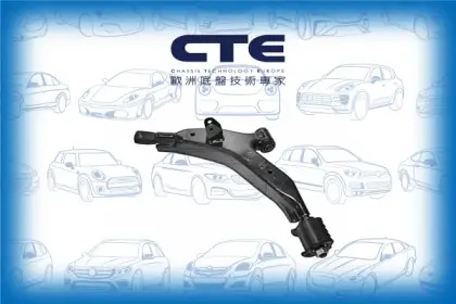 Control Arm/HYUNDAI/ATOS (MX) | AMICA / ATOZ
