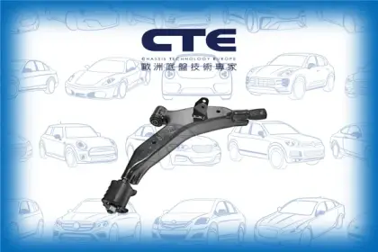 Control Arm/HYUNDAI/ATOS (MX) | AMICA / ATOZ