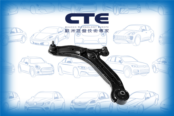 Control Arm/HYUNDAI/ACCENT II (LC) | VERNA | EXCEL/ACCENT II Saloon (LC) | VERNA