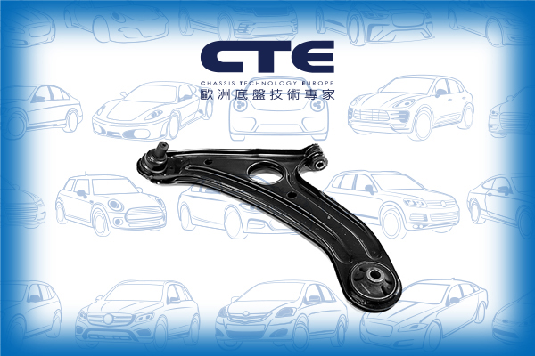 Control Arm/HYUNDAI/GETZ (TB) | CLICK