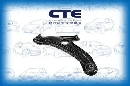 Control Arm/HYUNDAI/GETZ (TB) | CLICK
