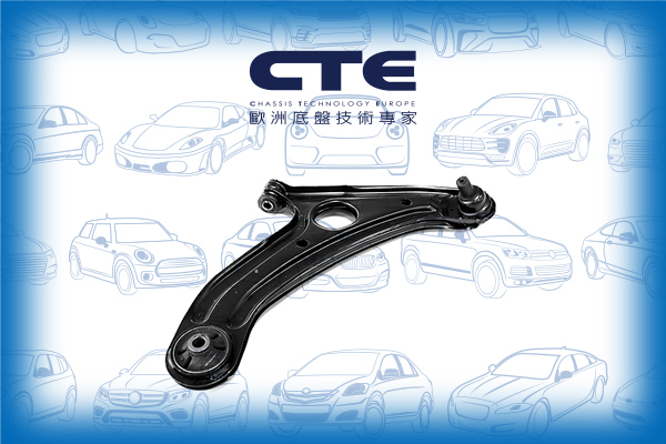 Control Arm/HYUNDAI/GETZ (TB) | CLICK