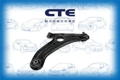 Control Arm/HYUNDAI/GETZ (TB) | CLICK