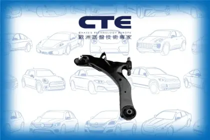 Control Arm