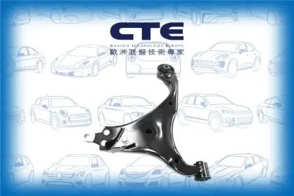 Control Arm/HYUNDAI/KIA/CEE'D Hatchback (ED)/CEE'D SW (ED)/i30 (FD) | AVANTE/i30 (GD)/i30 Coupe/i30 Estate (FD)/i30 Estate (GD)/PRO CEE'D (ED)