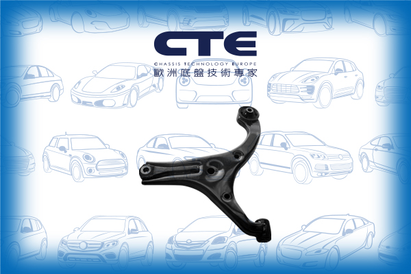 Control Arm/HYUNDAI/KIA/ACCENT III (MC) | VERNA/RIO II (JB) | PRIDE