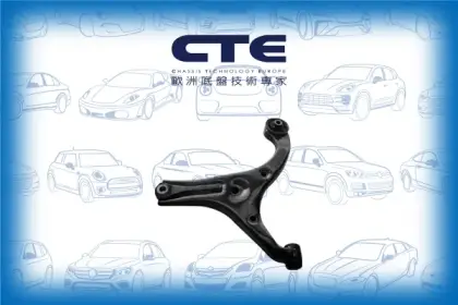 Control Arm/HYUNDAI/KIA/ACCENT III (MC) | VERNA/RIO II (JB) | PRIDE