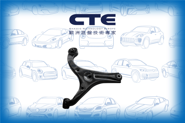 Control Arm/HYUNDAI/KIA/ACCENT III (MC) | VERNA/RIO II (JB) | PRIDE