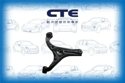 Control Arm/HYUNDAI/KIA/ACCENT III (MC) | VERNA/RIO II (JB) | PRIDE