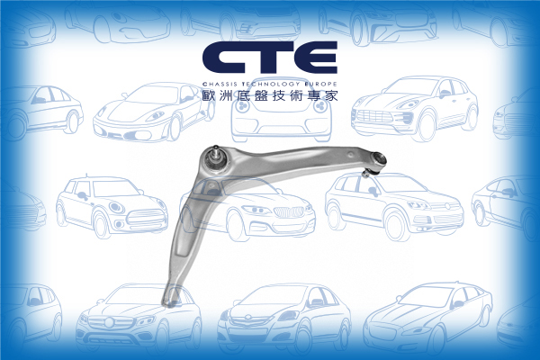 Control Arm/ROVER/75 (RJ)