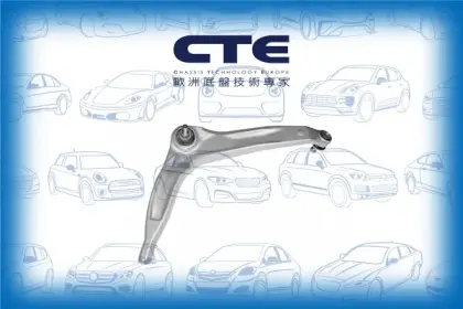 Control Arm/ROVER/75 (RJ)