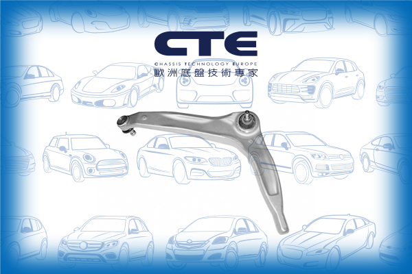 Control Arm/ROVER/75 (RJ)