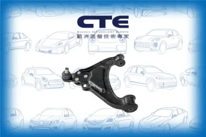 Control Arm/ROVER/100 / METRO Hatchback (XP)