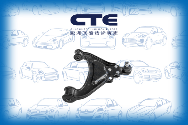 Control Arm/ROVER/100 / METRO Hatchback (XP)