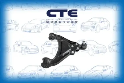 Control Arm/ROVER/100 / METRO Hatchback (XP)