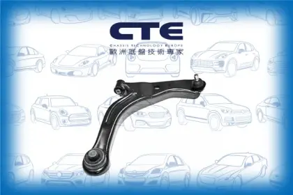 Control Arm/FORD/FORD USA/MAZDA/ESCAPE/MAVERICK/TRIBUTE (EP)