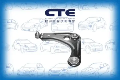Control Arm/FORD/KA (RB_)