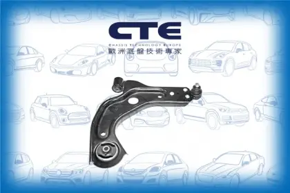 Control Arm/FORD/COURIER Pickup
