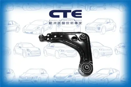 Control Arm/FORD/FIESTA III (GFJ)