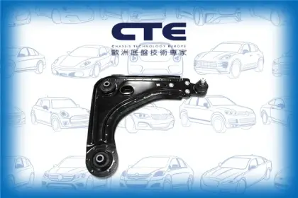 Control Arm/FORD/FIESTA III (GFJ)