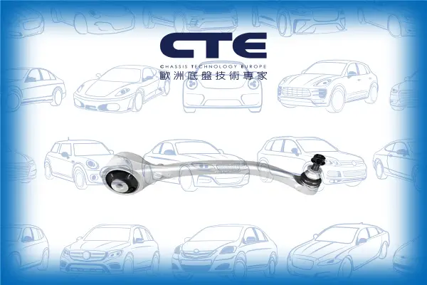 Control Arm/TESLA/MODEL S (5YJS)/MODEL X (5YJX)