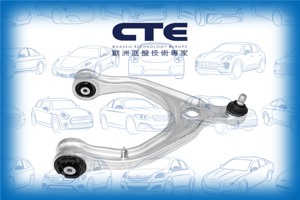 Control Arm/TESLA/MODEL X (5YJX)