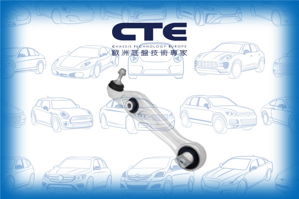 Control Arm/TESLA/MODEL 3 (5YJ3)