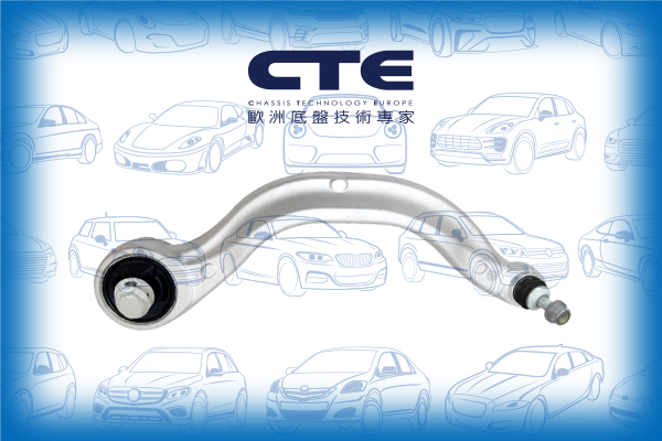 Control Arm/TESLA/MODEL 3 (5YJ3)