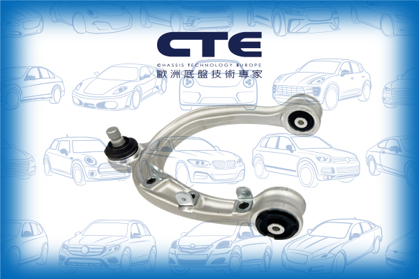 Control Arm/TESLA/MODEL 3 (5YJ3)