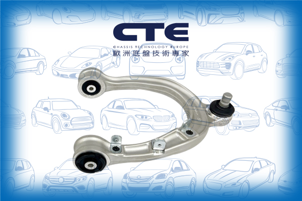 Control Arm/TESLA/MODEL 3 (5YJ3)