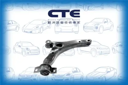Control Arm/FORD/TRANSIT CONNECT (P65_, P70_, P80_)/TRANSIT CONNECT MPV/TRANSIT CONNECT V408 Box Body/MPV