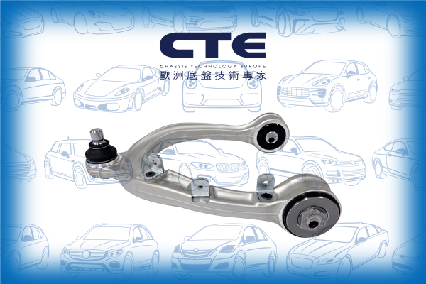 Control Arm/TESLA/MODEL 3 (5YJ3)