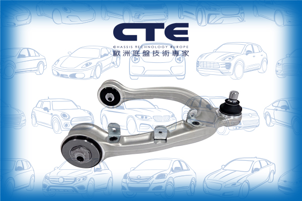 Control Arm/TESLA/MODEL 3 (5YJ3)