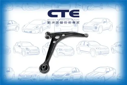 Control Arm/FORD/SEAT/VOLKSWAGEN/ALHAMBRA (7V8, 7V9)/GALAXY I (WGR)/SHARAN (7M8, 7M9, 7M6)