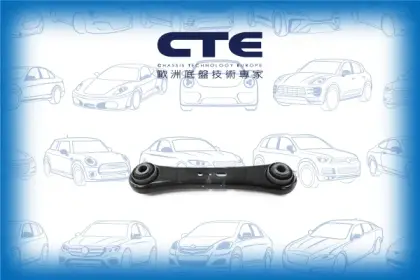 Control Arm/FORD/GALAXY III (CK)