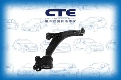 Control Arm/FORD/FOCUS II (DA_, HCP, DP)