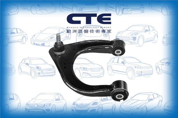 Control Arm/FORD/RANGER (TKE)