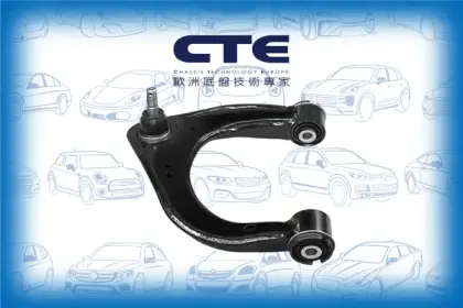 Control Arm/FORD/RANGER (TKE)