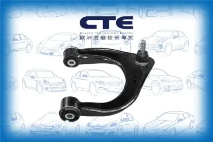 Control Arm/FORD/RANGER (TKE)