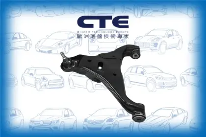 Control Arm/FORD/RANGER (TKE)