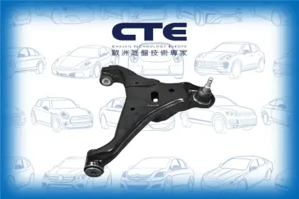 Control Arm/FORD/RANGER (TKE)