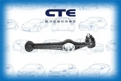 Control Arm/DAIHATSU/PERODUA/CUORE V (L7_) | MIRA/KANCIL | NIPPA