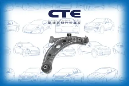 Control Arm/DAIHATSU/SUBARU/JUSTY IV/SIRION (M3_) | BOON