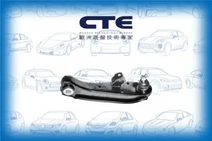 Control Arm/HYUNDAI/MITSUBISHI/H100 Bus (P) | GRACE | H150 | H100 / GRACE/H100 Platform/Chassis (HR) | PORTER 2/H100 Van | GRACE | H150 | H100 / GRACE/L 300 III Bus (P0_W, P1_W, P2_W, P3_W) | DELICA/L 300 III Platform/Chassis (P1_T )/L 300 III Van (P0_V, 