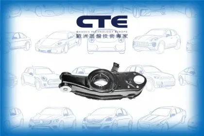 Control Arm/HYUNDAI/MITSUBISHI/H100 Bus (P) | GRACE | H150 | H100 / GRACE/H100 Van | GRACE | H150 | H100 / GRACE/L 300 / DELICA II Bus (LO3_P/G, L0_2P)/L 300 / DELICA II Platform/Chassis (L03_P) | BIG MINI/L 300 / DELICA II Van (L03_P)